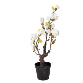 Magnolie alba artificiala in ghiveci 16x14x60 cm