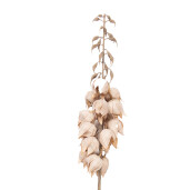 Floare artificiala bej maro 12x12x100 cm