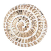 Buton mobilier metal multicolor Ø 4x4 cm / S3 cm