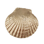 Set 4 manere mobilier polirasina aurie Scoica 6x4x6 cm