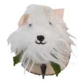 Cuier perete Catelus 11x15x14 cm