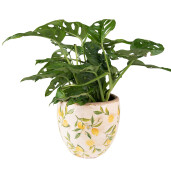 Ghiveci flori ceramica Lemon 13x12 cm