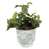 Ghiveci flori ceramica bej verde 17x15 cm