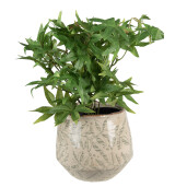 Set 2 ghivece flori ceramica verde bej Leaf 17x15 cm