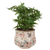 Ghiveci flori ceramica multicolora Roses 18x15 cm