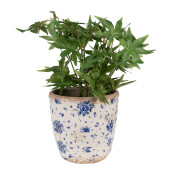 Ghiveci flori ceramica bej albastru Rose 16x16 cm