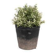 Ghiveci flori ceramica neagra maro 15x14 cm