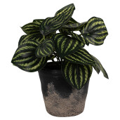 Ghiveci flori ceramica neagra maro 12x11 cm