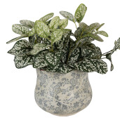 Ghiveci flori ceramica bej Ø 18x15 cm