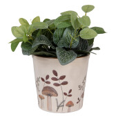 Ghiveci flori ceramica bej maro Ciupercute 17x16 cm