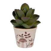 Ghiveci flori ceramica bej maro Ciupercute 8x7 cm
