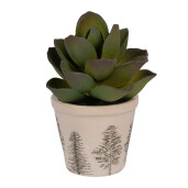 Ghiveci flori ceramica bej verde Braduti 8x7 cm