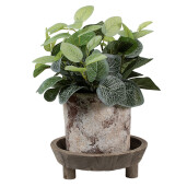 Suport ghiveci flori lemn maro 22x7 cm