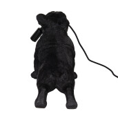 Veioza polirasina neagra Catelus 35x19x28 cm, E14