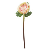 Ranunculus roz pudrat 44 cm