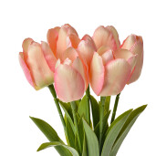 Buchet Lalele artificiale verzi roz 10x10x32 cm