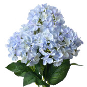 Buchet Hortensii artificiale albastre verzi 15x15x45 cm