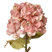 Hortensie artificiala roz verde 10x10x55 cm