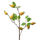 Crenguta fructe padure galbene verzi 10x8x50 cm