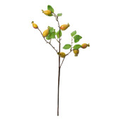 Crenguta fructe padure galbene verzi 10x8x50 cm