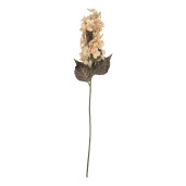 Floare artificiala bej verde 8x8x72 cm