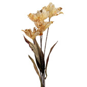 Floare artificiala bej verde 8x5x60 cm 