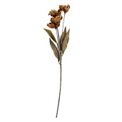 Floare artificiala verde bej 8x5x60 cm 