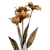 Floare artificiala 8x5x60 cm 