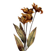 Floare artificiala portocalie verde 8x5x60 cm 