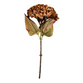 Hortensie artificiala maro verde II 15x15x47 cm