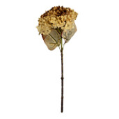Hortensie artificiala maro verde 15x15x47 cm