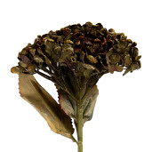 Hortensie artificiala verde 15x15x47 cm