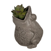 Ghiveci flori polirasina gri Broscuta 19x18x23 cm