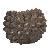 Ghiveci din ceramica maro Conifer Ø 19 cm x 15 h 