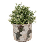 Ghiveci flori piatra bej verde 17x15 cm