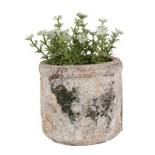 Ghiveci flori piatra bej verde 12x11 cm