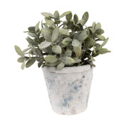 Ghiveci flori teracota alb albastru 12x11 cm