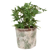 Ghiveci flori teracota bej maro verde 18x16 cm