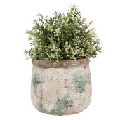 Ghiveci flori teracota bej maro verde 16x13 cm