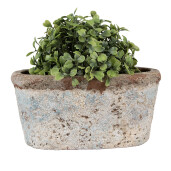 Ghiveci flori teracota bej albastra 19x11x10 cm