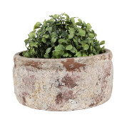 Ghiveci flori teracota bej maro 18x8 cm