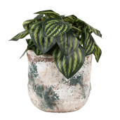 Ghiveci flori teracota bej maro verde 14x12 cm