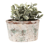 Ghiveci flori teracota bej verde 21x13x12 cm