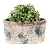 Ghiveci flori teracota bej verde 20x11x10 cm