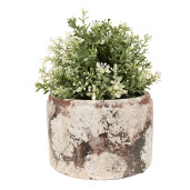 Ghiveci flori teracota bej verde 18x11 cm