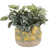 Ghiveci flori ceramica multicolora Lamai Ø 19x15 cm