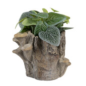 Ghiveci flori piatra maro 19x17x16 cm