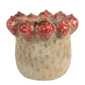 Ghiveci flori teracota bej rosie Capsuni Ø 19x16 cm