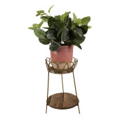 Suport ghivece flori lemn maro fier auriu 21x32 cm