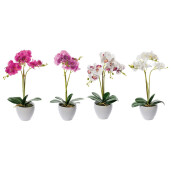 Set 4 Orhidee in ghiveci 14 x 50 cm